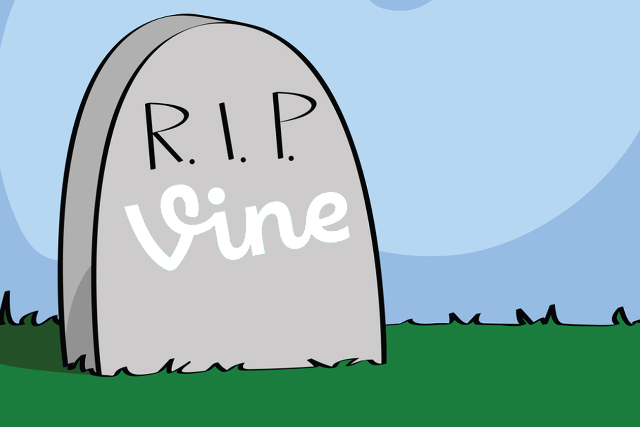 Cierre de Vine