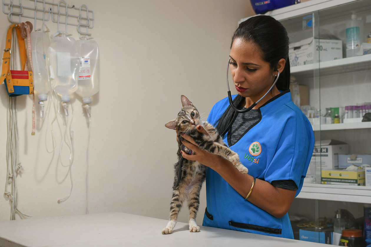 emprendedoras nicaragüenses