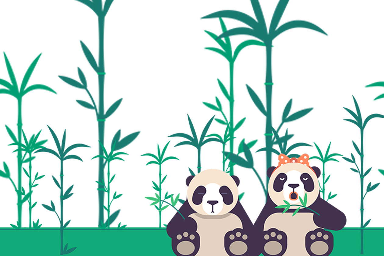 Panda Style