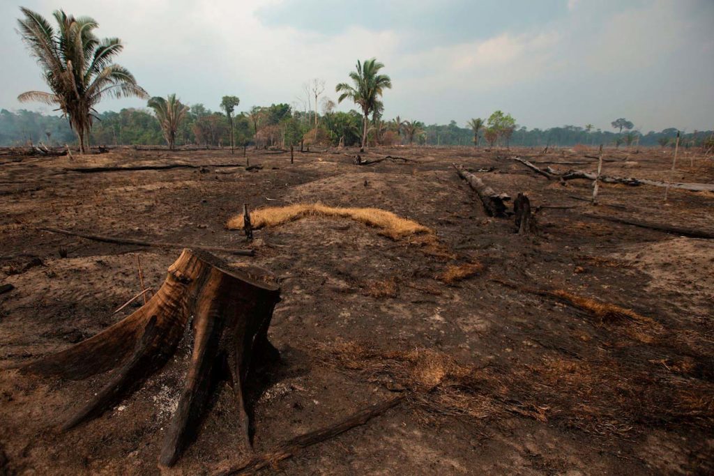 Incendios Amazonia