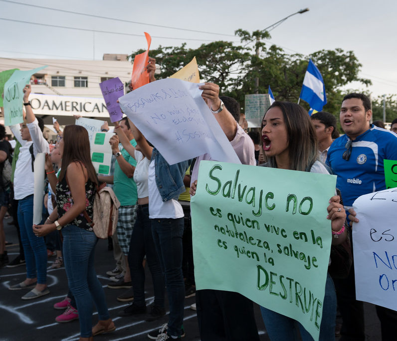 Bandera en protestas de indio maíz