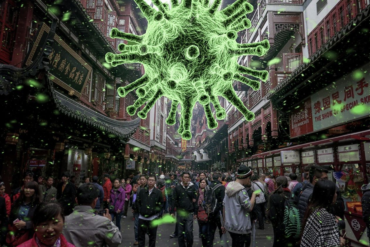 Para qué sirven los virus